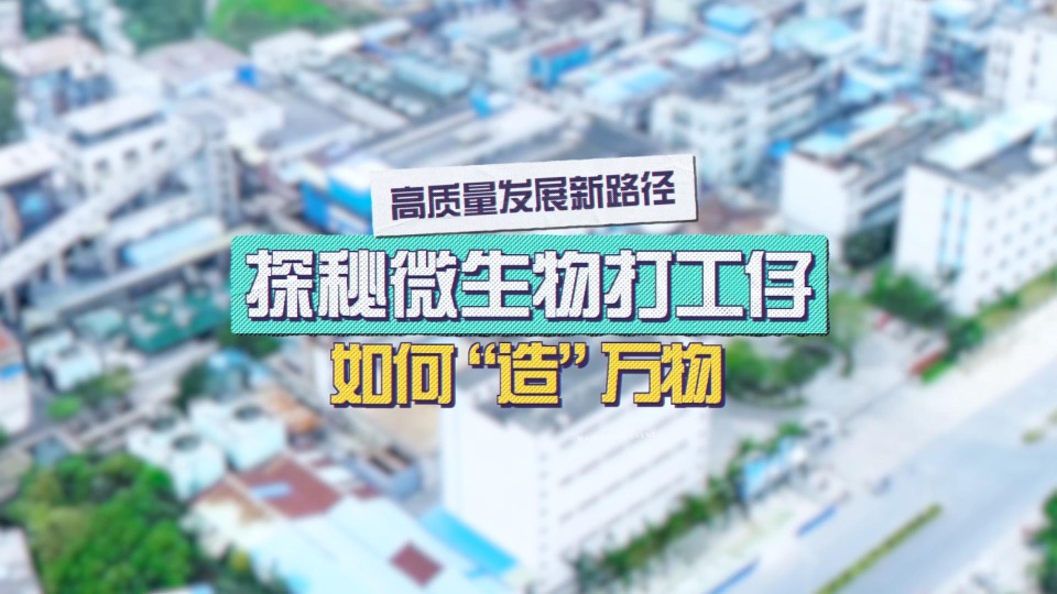 每日大赛